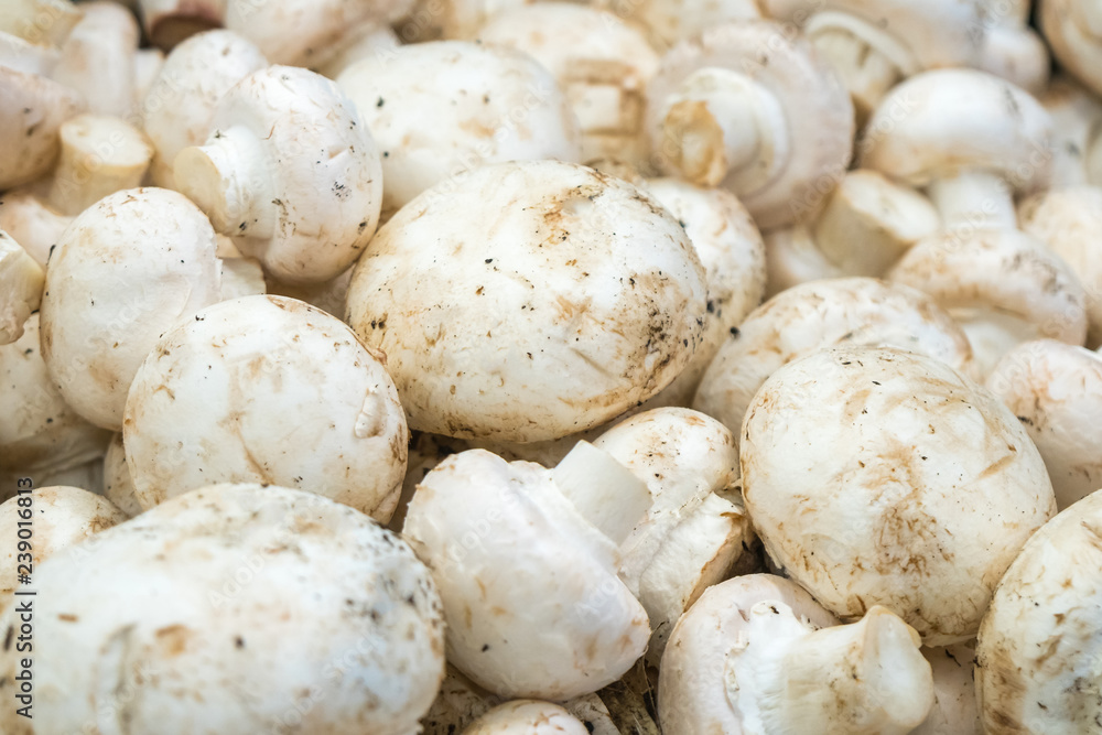 Fresh white button mushrooms on the farmers' market Fresh white button mushrooms on the farmers' market