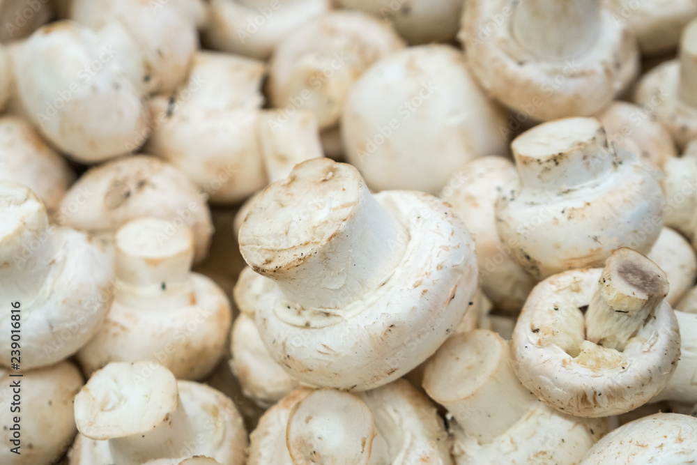 Fresh white button mushrooms on the farmers' market Fresh white button mushrooms on the farmers' market
