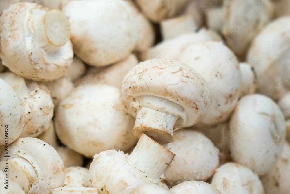 Fresh white button mushrooms on the farmers' market Fresh white button mushrooms on the farmers' market