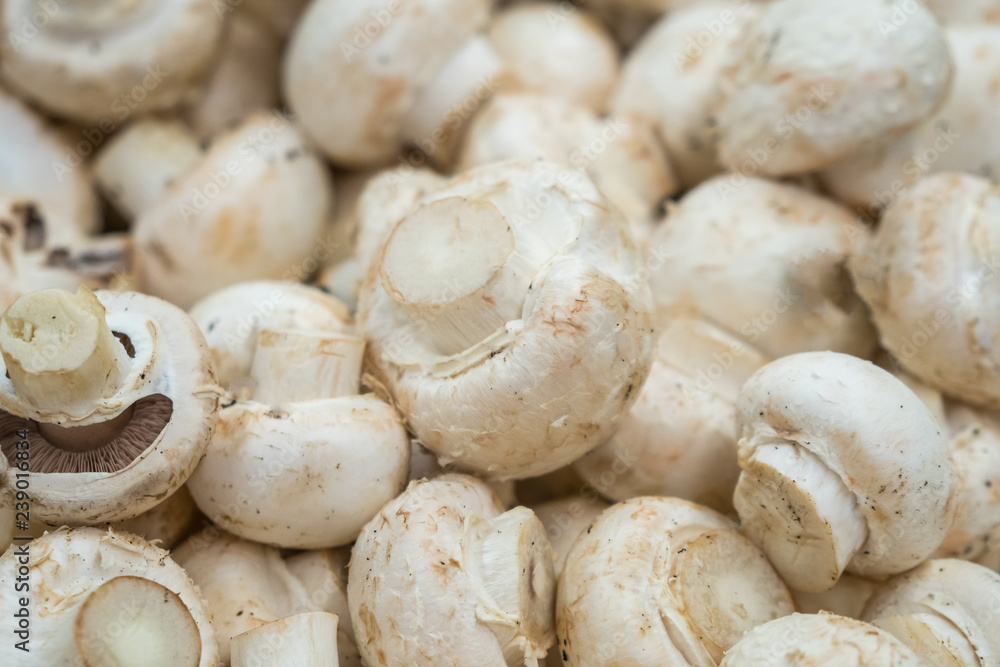 Fresh white button mushrooms on the farmers' market Fresh white button mushrooms on the farmers' market