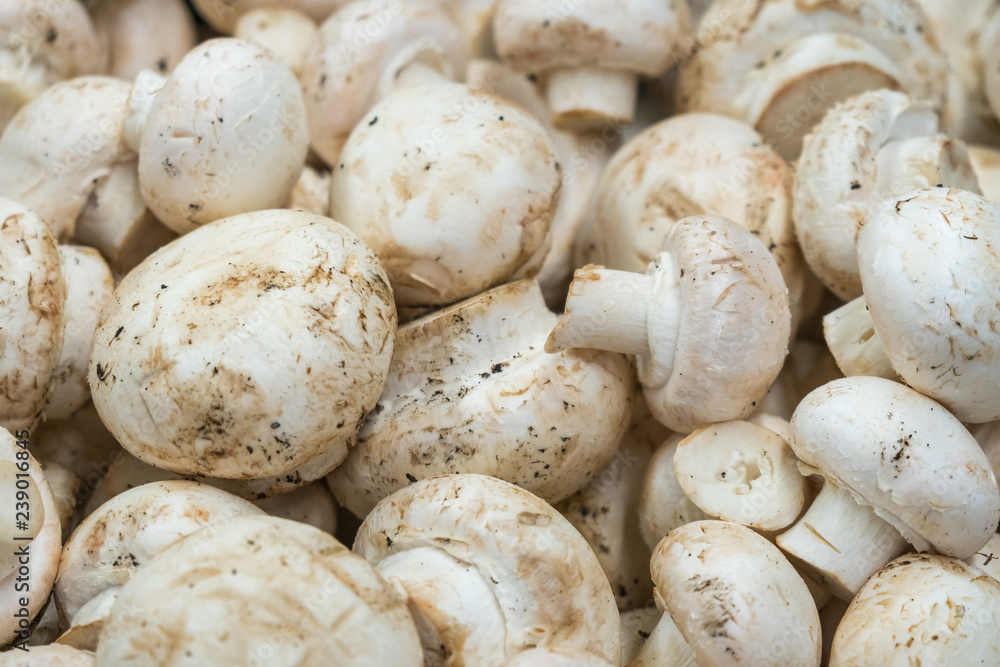 Fresh white button mushrooms on the farmers' market