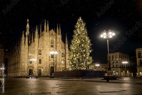 Milan (Italy) in winter: Christmas tree in front of Milan cathedral, Duomo square in december, night view. Starry sky. © Arcansél