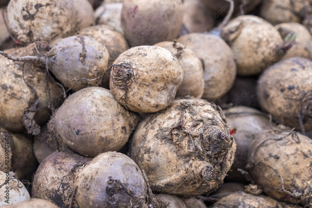 Close-up of beet root at a public market Close-up of beet root at a public market