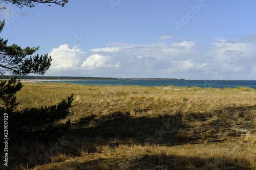 .DŸnen und DŸnenschutzwald an der Ostsee, Ostseebad Prerow, Nationalpark Vorpommersche Boddenlandschaft, Mecklenburg Vorpommern, Deutschland.. photo