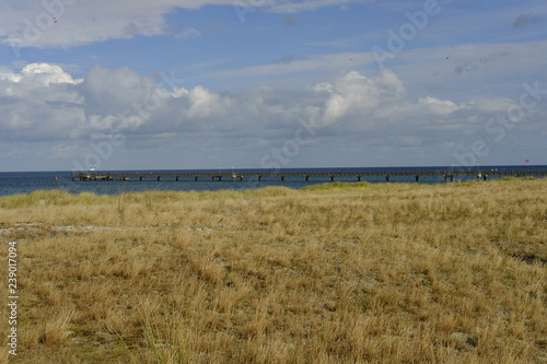 .DŸnen und DŸnenschutzwald an der Ostsee, Ostseebad Prerow, Nationalpark Vorpommersche Boddenlandschaft, Mecklenburg Vorpommern, Deutschland.. photo