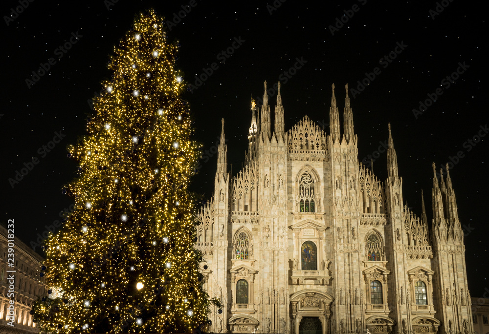 Naklejka premium Milan (Italy) in winter: Christmas tree in front of Milan cathedral, Duomo square in december, night view. Starry sky.
