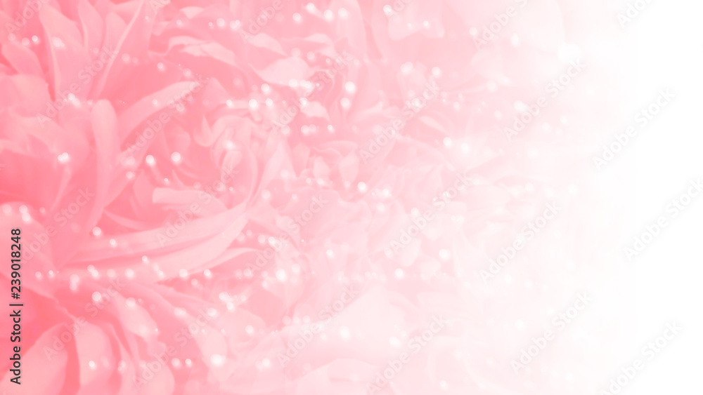 Pink flowers background (fading white) with glowing sparkling bokeh lights. For Valentine's, Romantic events. Copy space available