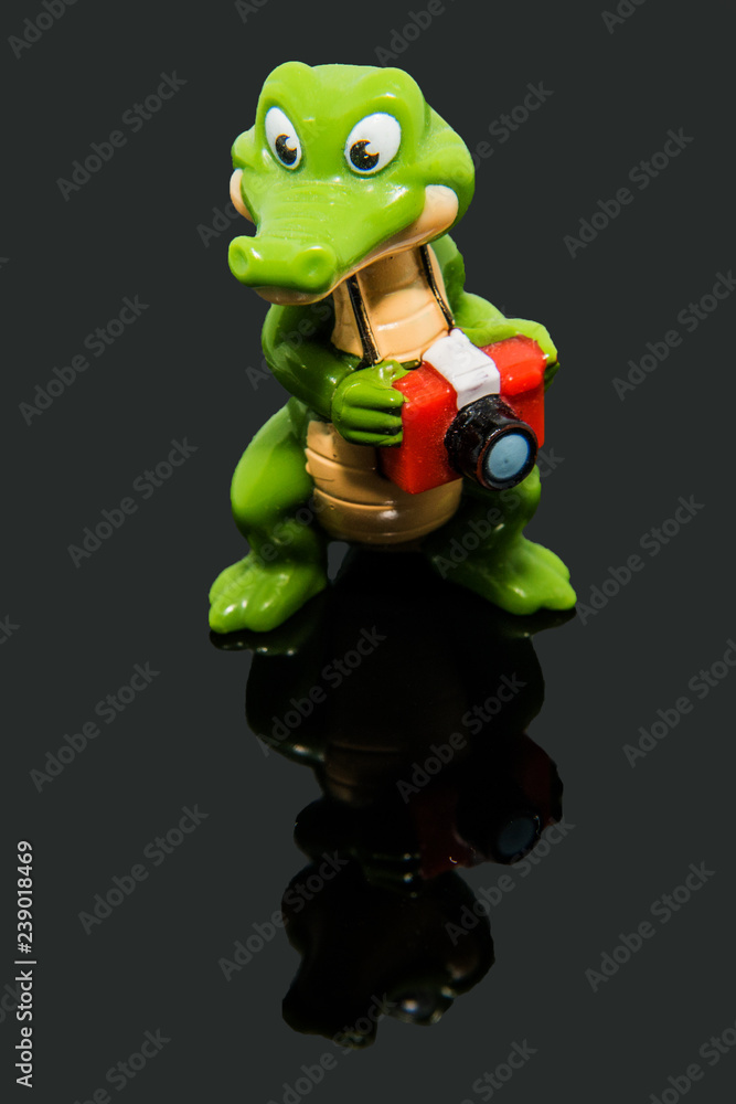 Crocodile photographer in studio with reflection Crocodile photographer in studio with reflection