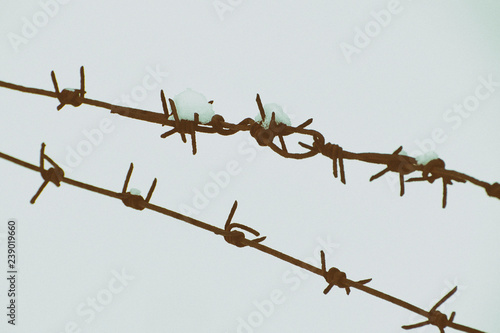 Two rows of barbed wire on a background of snow. Close-up