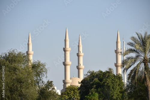 Mary Mother of Jesus Mosque Medium Shot, Abu Dhabi