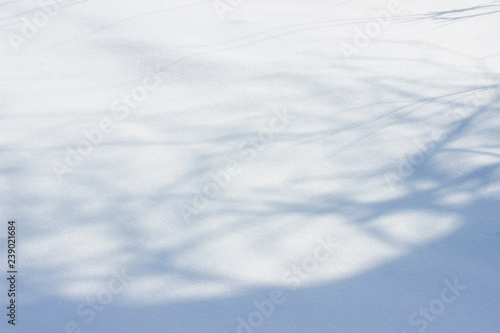 Snow with forest shadows background. © helen_g