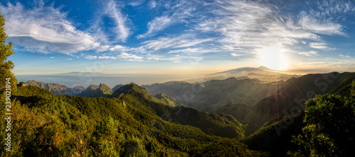 Mountains and forests of Tenerife