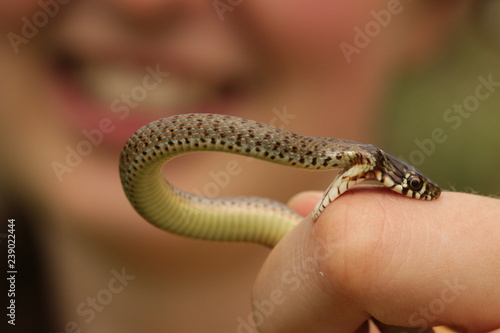 Принти на полотні Snake biting a girl on her finger