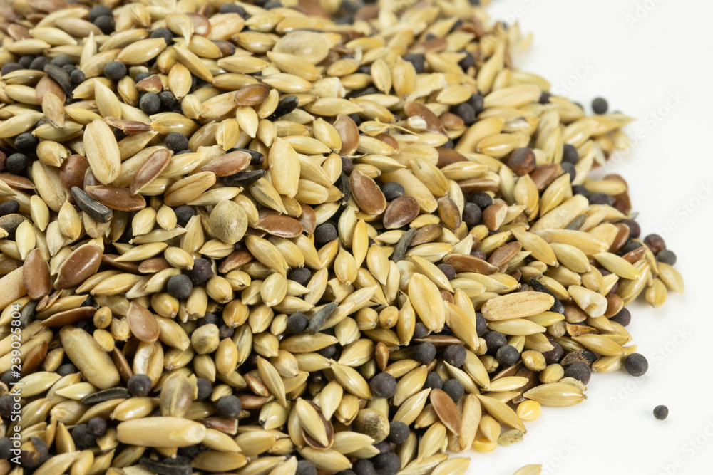 Mixed seeds food for feeding canaries and wild birds Mixed seeds food for feeding canaries and wild birds