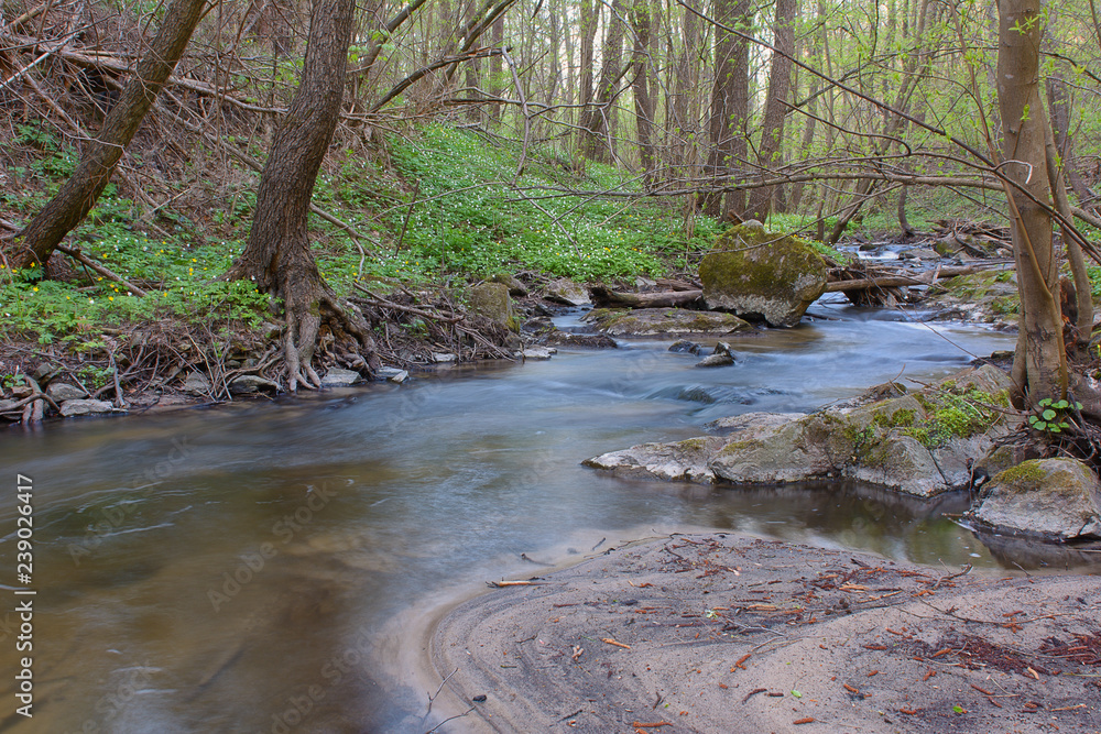 River in the forest in the spring River in the forest in the spring