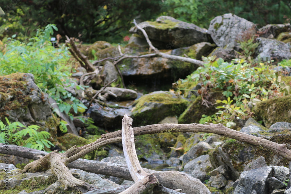 WALD WALD