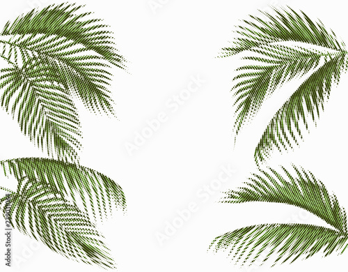 Different in shape tropical dark green palm leaves. Stylized dots design. Isolated on white background. illustration © lily_studio