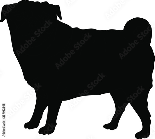 Creative vector hand drawn doodle vector illustration of pug dog silhouette. Template for various products prints textile fabric patterns frames bed linen pillows gifts. Realistic line art