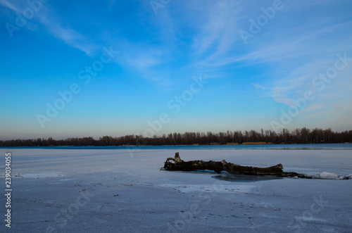 Log on a snow