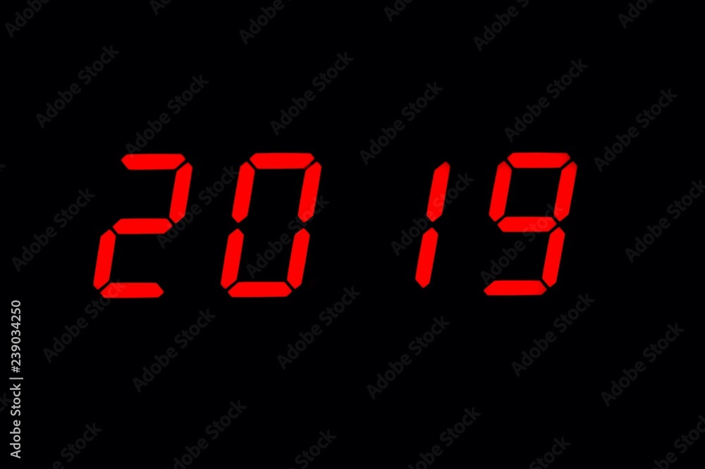 Year 2019