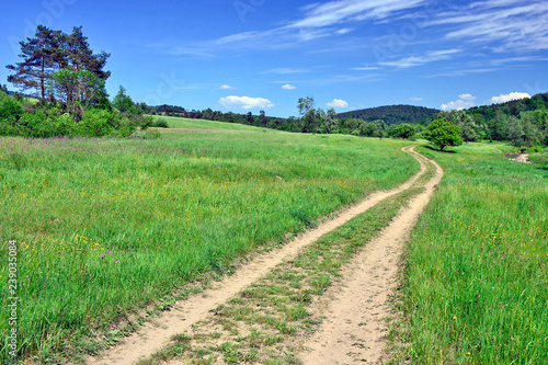 Country road in a grassy meadow, Low Beskid (Beskid Niski), Poland