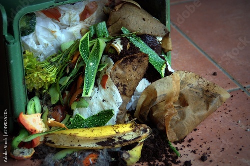 restes de déchets alimentaires en bac photo