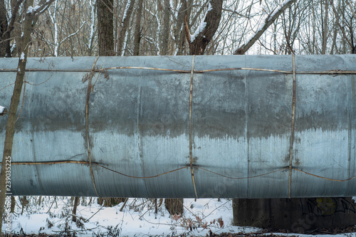 Pipeline passing through the forest photo