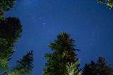 stars shining up above trees lit from below in summer