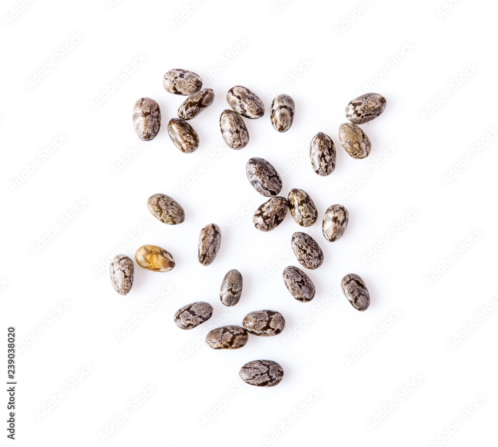 chia isolated on white background. top view chia isolated on white background. top view