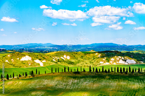 Fields in Tuscany, Italy photo