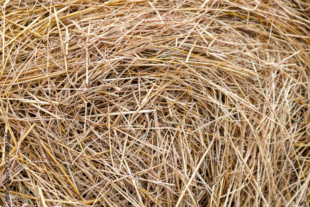 hay texture background hay texture background