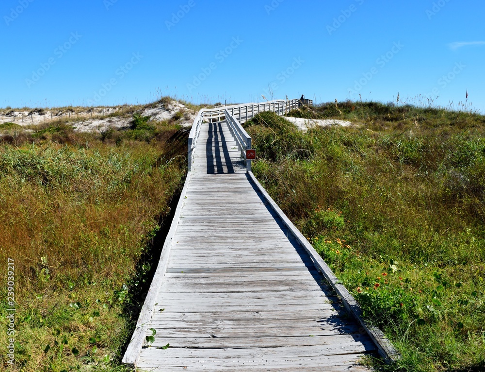 Boardwalk to the ocean beach Florida, USA