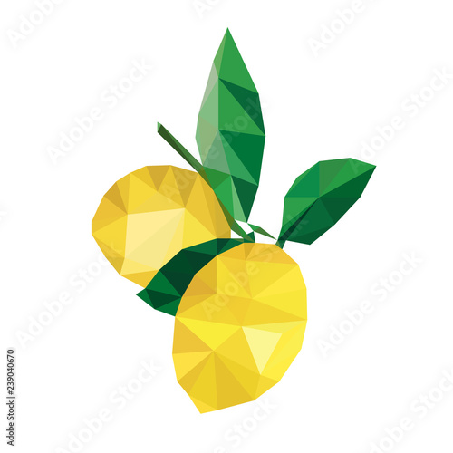 Colorful polygonal style design of two lemon fruits