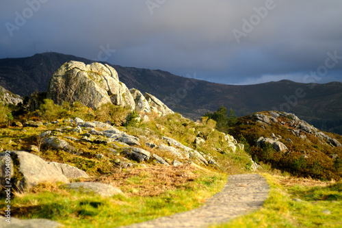 Mountain