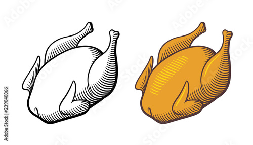 Retro style hand drawn illustration of roast chicken. Outline and colored version