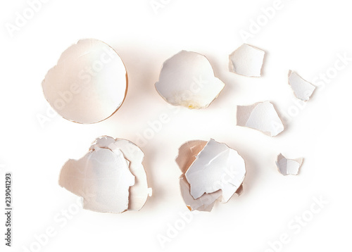 Egg shell isolated on white background. Top view