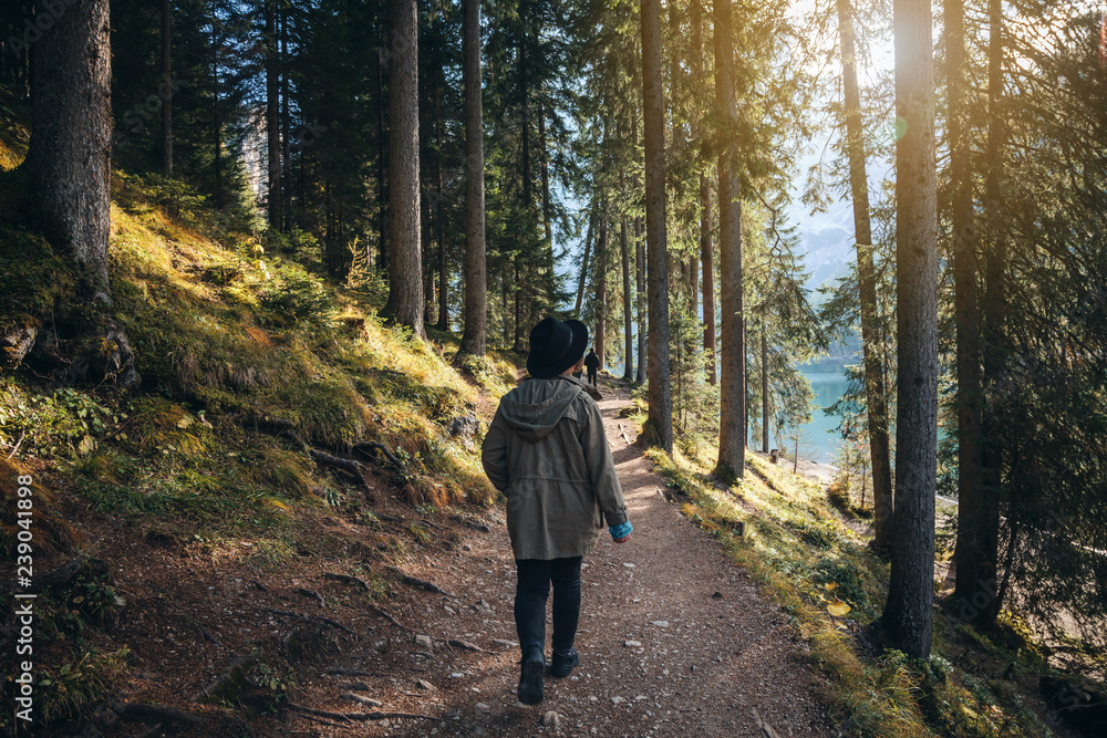 The girl goes through a beautiful pine forest The girl goes through a beautiful pine forest