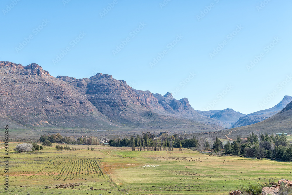 Farm landscape at Kromrivier in the Cederberg Mountains