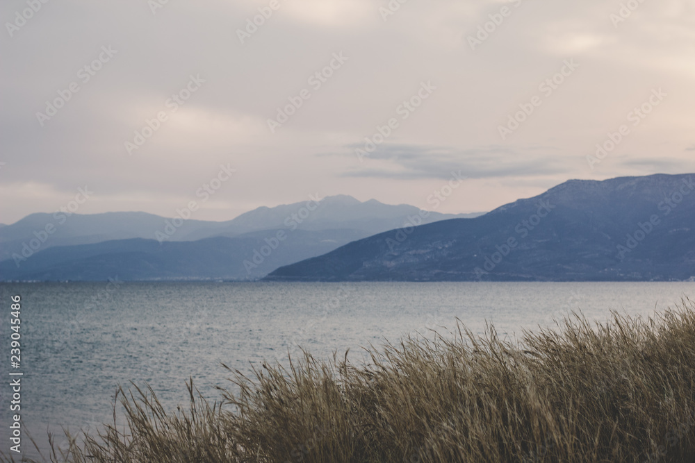 romantic melancholy soft focus landscape with dry grass on foreground and sea bay calm water surface and mountain range on background in morning sunrise foggy cloudy weather time 