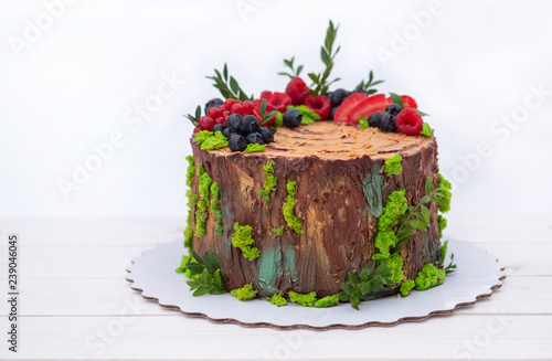 homemade cake in the form of a forest old tree stump with berries photo