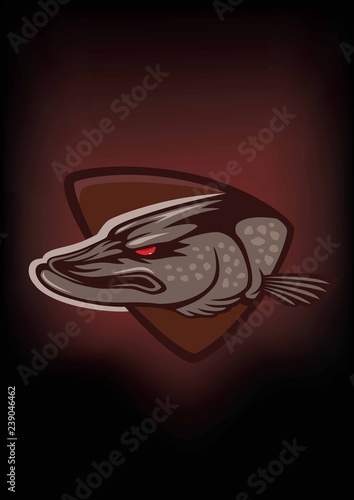 pike fish image