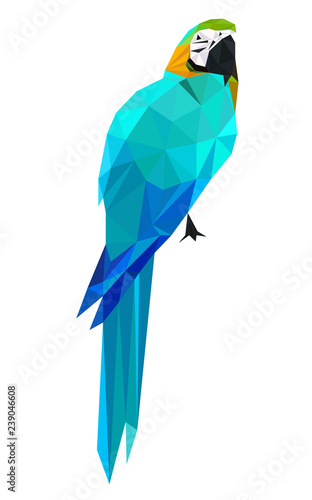 Colorful polygonal style design of tropical cyan parrot bird with orange neck