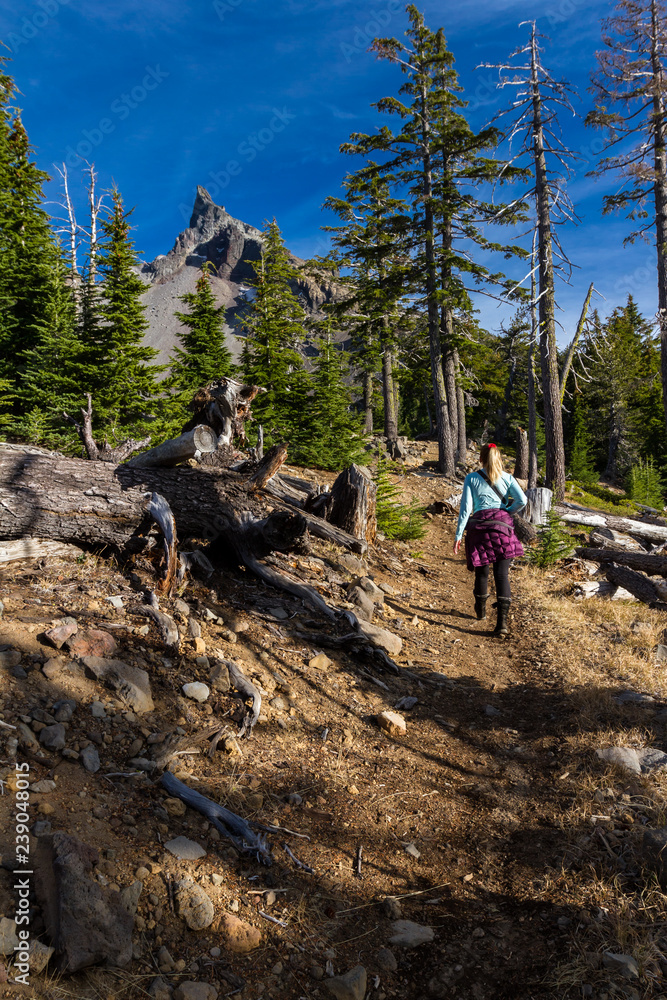 Hiking trail to Mount Thielsen