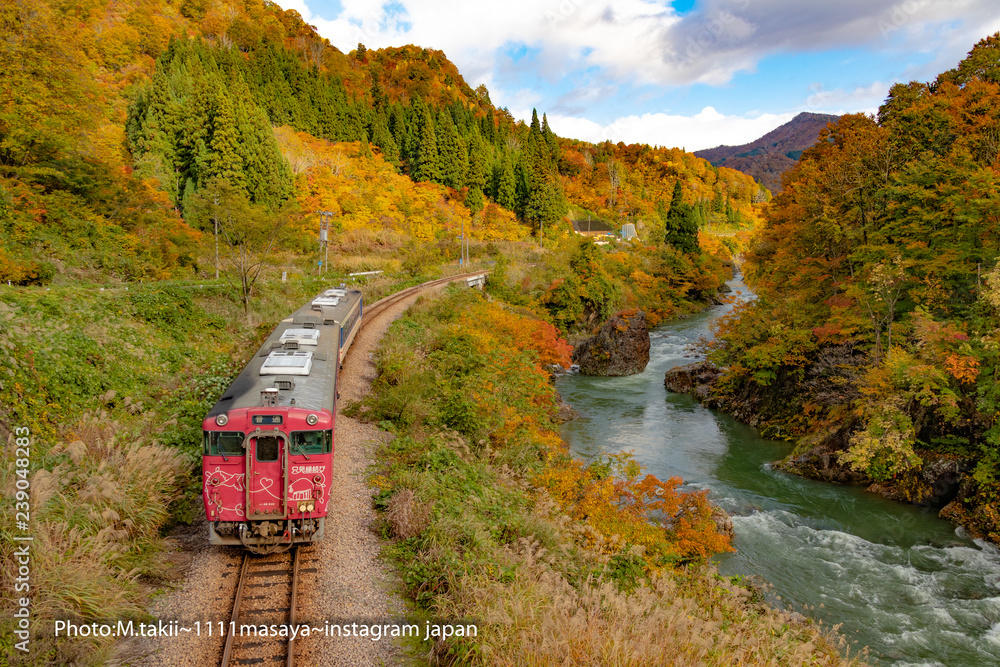 秋のローカル線