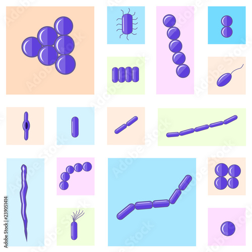 Flat vector microbiology set. 