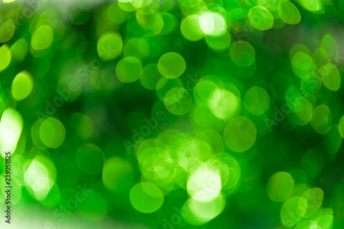 Colorful Abstract Ultra Green bokeh background. 2019