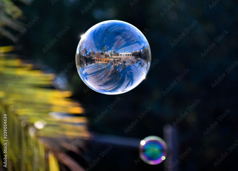Bubble Bubble