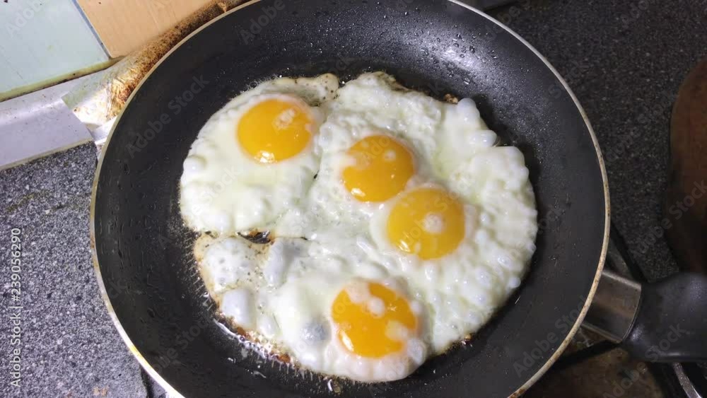 scrambled eggs. omelette. fried eggs scrambled eggs. omelette. fried eggs