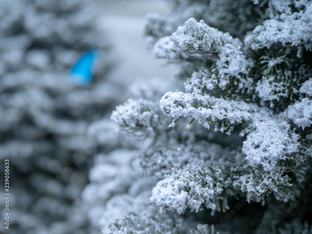 Close up of tree branches covered in some bright white snow Close up of tree branches covered in some bright white snow