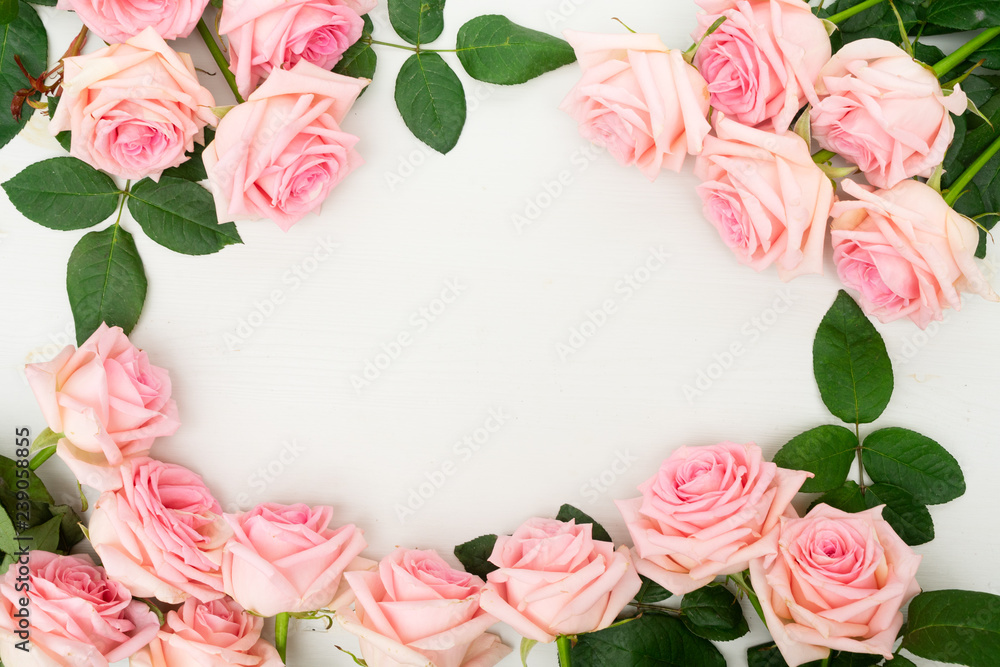 Rose fresh natural pink flowers frame on table from above with copy space, flat lay scene